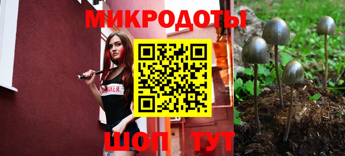 Черняховск  Псилоцибиновые грибы Psilocybe  Вход с VPN  Галлюциногенные грибы мухоморы 